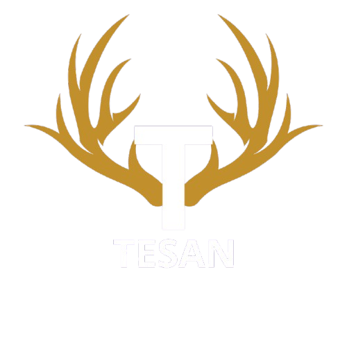 Tesan